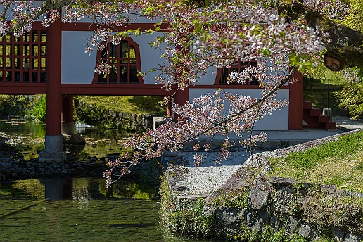 D85_6231-Apr-19 Japan, Präfektur Kyōto, Byodo-in Temple Museum Hoshokan